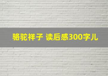 骆驼祥子 读后感300字儿